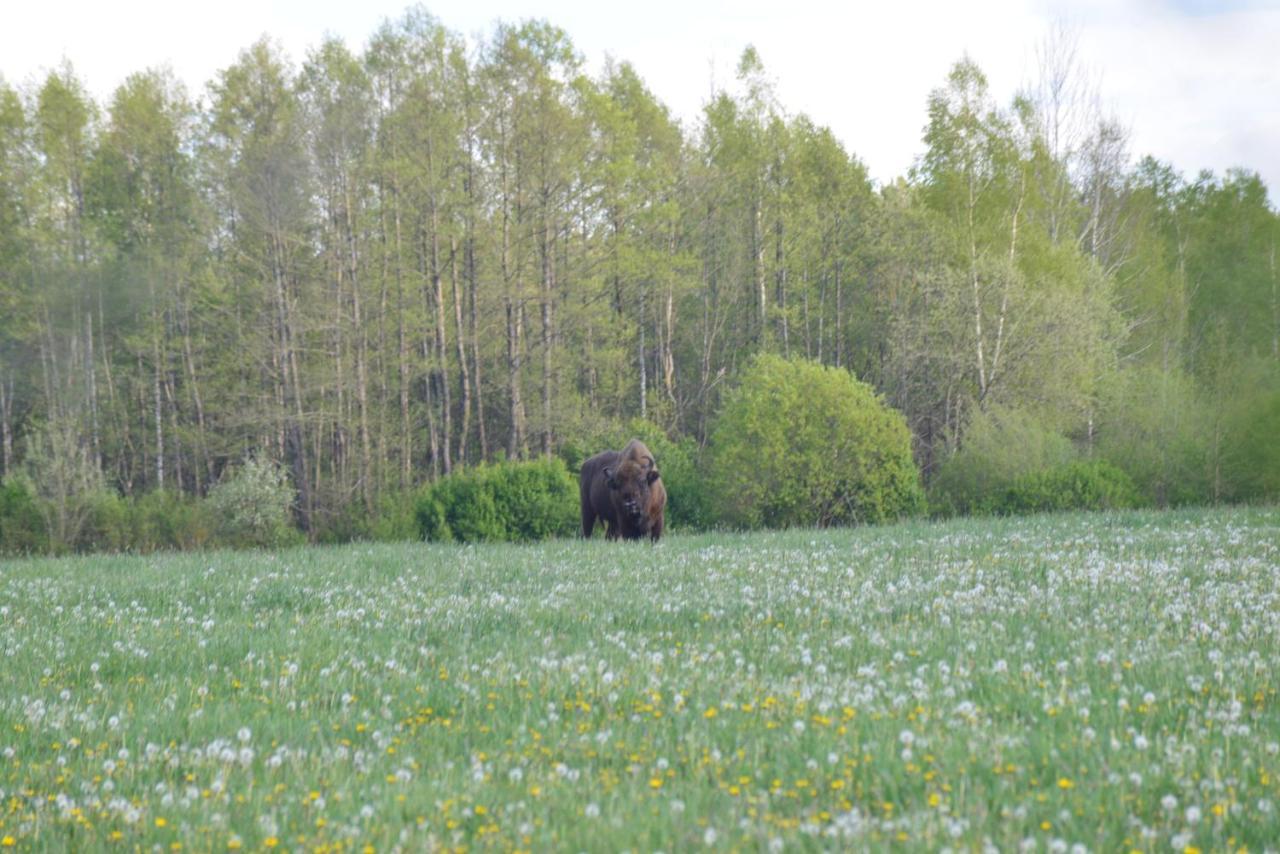 Ciche Podlasie Siemianowka Exteriör bild